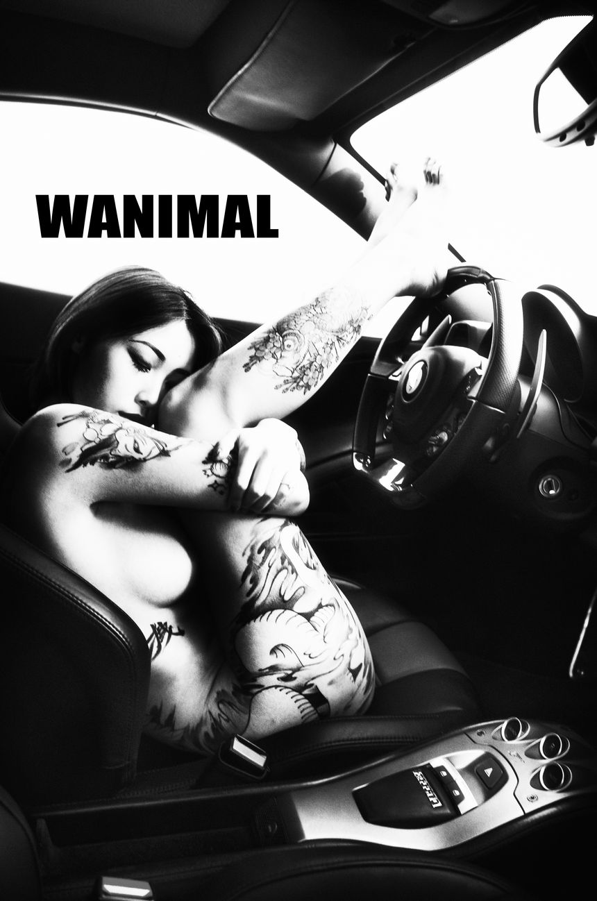 Ů VIP () ͼ [70P] WANIMALٷƷ ʥ 5ҳ