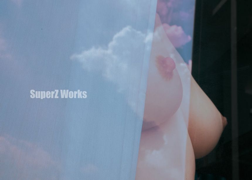 WorksƷ Ӱʦ SuperZ ͼ () [95P] ʥ 3ҳ